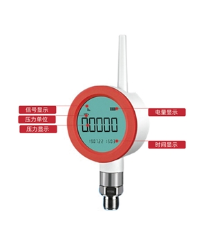 TP2401遠(yuǎn)傳表