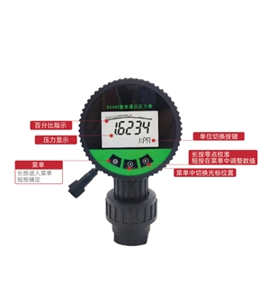 YS-60485FF遠(yuǎn)傳表